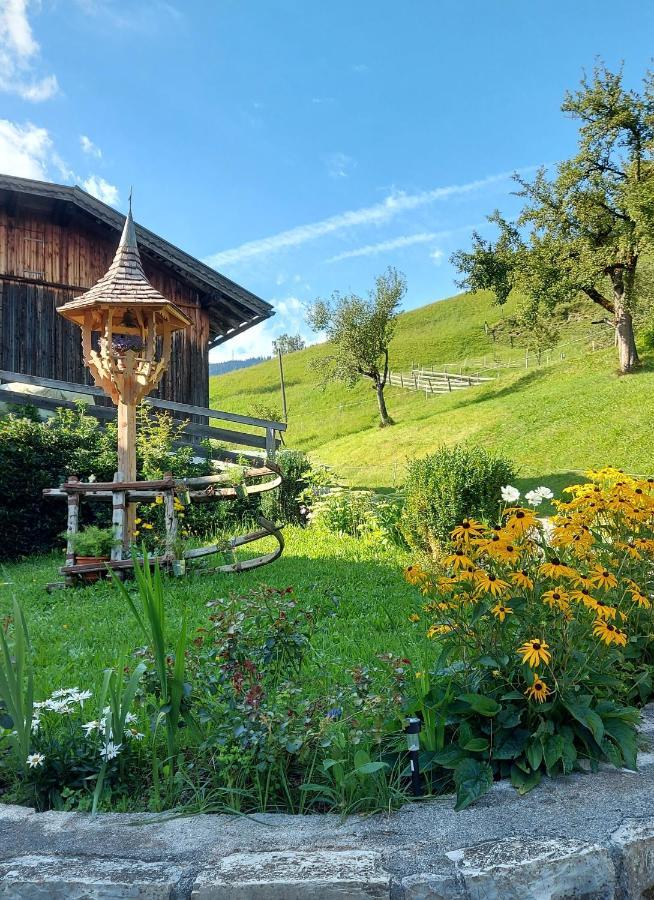 Almhof Grub Villa Wagrain Exterior foto